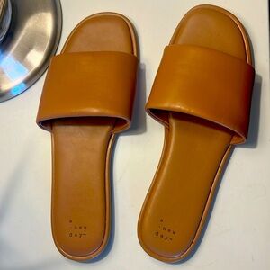 Camel colored Slides